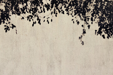 Foliage shadow on a concrete background. Summer holiday atmosphere.