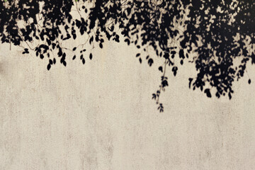 Foliage shadow on a concrete background. Summer holiday atmosphere.