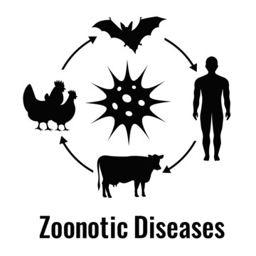 Zoonotic disease vector illustration