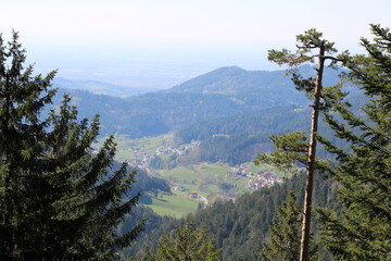 Hiking in the Black Forest National Park