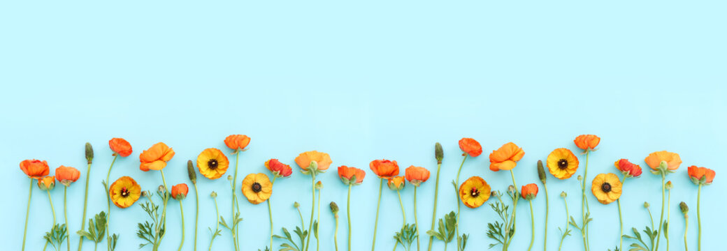 Top View Image Of Yellow Flowers Composition Over Blue Background