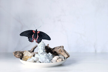 Buddha statue, tropical butterfly and crystals on table, abstract blurred light background. Relax time, harmony of nature. Gentle romantic inspiration scene, dreamy artistic image. copy space