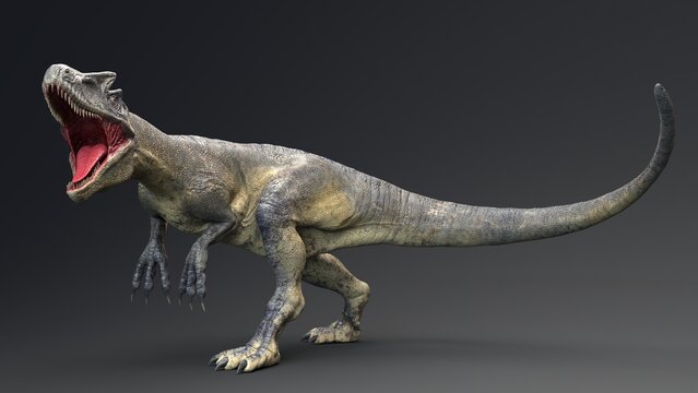 Fototapeta Allosaurus dinosaur of background. 3d rendering