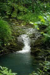 Curly forest river rift with small waterfalls,  mossy trees and stones  