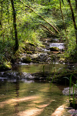 Curly forest river rift with small waterfalls,  mossy trees and stones  