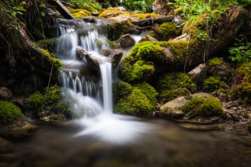 Fototapeta na wymiar little waterfall in the forest