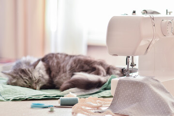 Sewing machine made of fabric and thread with lace cotton braid and sleeping cat.