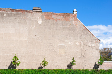 The wall of an old house in the Belvedere. Green trees on a brick wall background