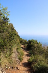 Fototapeta na wymiar Hiking on the Portofino peninsula | From San Rocco to Batteria di Punta Chiappa | Mount Portofino Natural Regional Park