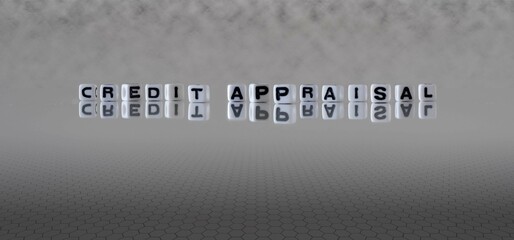 credit appraisal word or concept represented by black and white letter cubes on a grey horizon background stretching to infinity