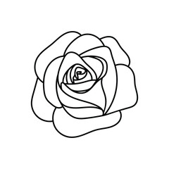 rose flower in doodle style, contour illustration of a bud, linart botanical