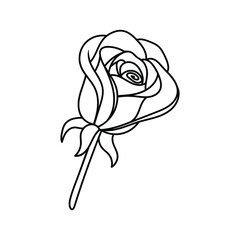rose flower in doodle style, contour illustration of a bud, linart botanical
