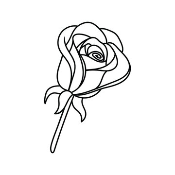rose flower in doodle style, contour illustration of a bud, linart botanical