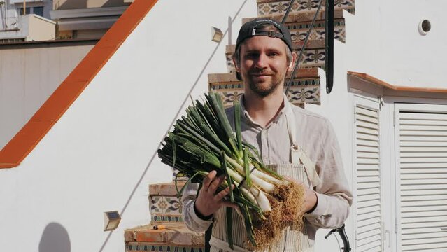 Chef man hold traditional green calcots onion, Spanish Catalan spring barbecue dish. 