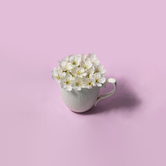 Spring flowers in white cup on pastel light purple background. Creative flowers concept. Minimalistic nature composition with copy space. Spring tea idea.