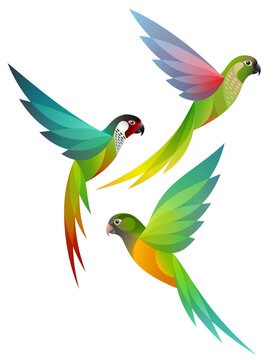 Stylized Birds - Parakeets in flight
