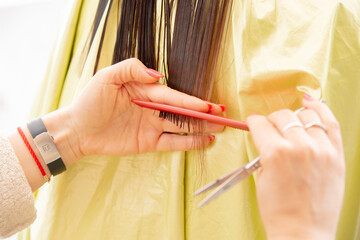 catting hair ends. Hairdresser cut clients hairs