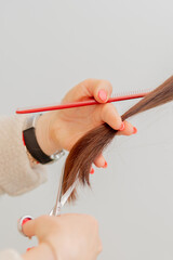 catting hair ends. Hairdresser cut clients hairs
