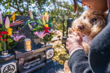 Tuinposter 犬と墓参り © YUTO PHOTOGRAPHER
