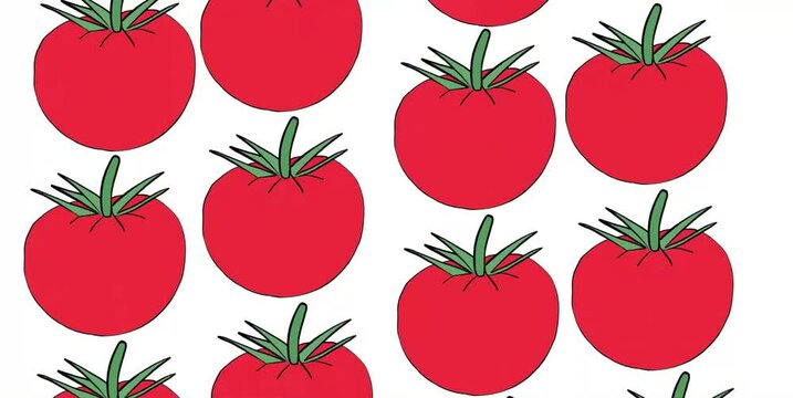 Red tomatos (fruits) hand drawn animation background over white background. Loop.