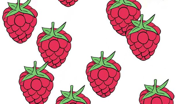 Raspberries Fruit Background Hand Drawn Animation Loop Cartoon