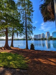 Gorgeous day in the heart of the city beautiful the park at Lake Eola, Orlando, Florida.
