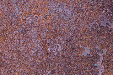 Panoramic grunge rusty metal texture, rust and oxidation metal background. Old metal iron panel.