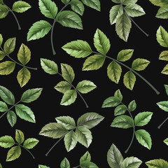 Fototapeta na wymiar Seamless pattern with leaves on dark background