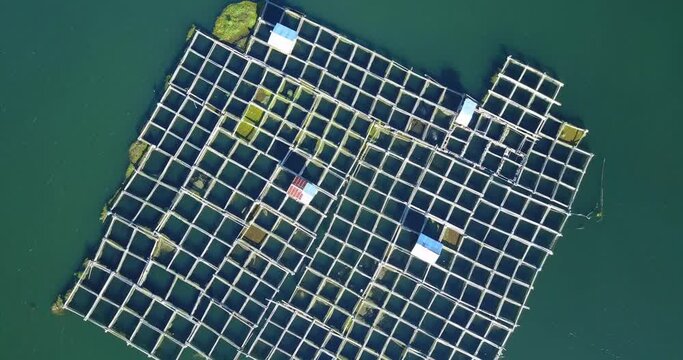 Lake Buyan, Bali, Indonesia. Aerial drone view, vertical framing rising and slowly turning.