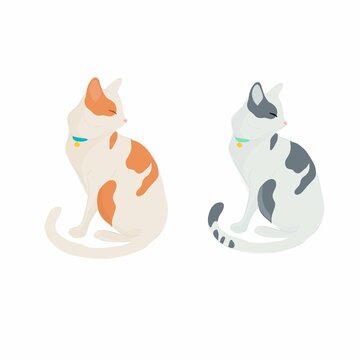 Gato, felinos ,mascotas ,cure ,beutiful, ilustración,mascota