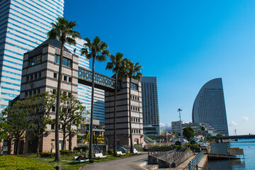 日本丸メモリアルパークのタワー棟C及びDと高層ビル