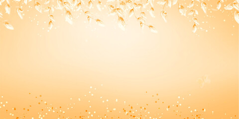 color wallpaper, background for web, graphic design and photo album
