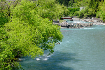 新緑とエメラルド色の河川