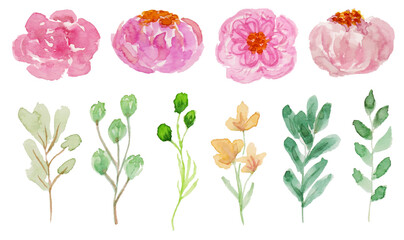 set of cute and beautiful spring flower watercolor	
