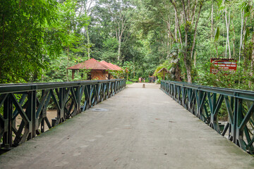 Puente de Tingo María la sierra medio del paisaje y montañas de la selva