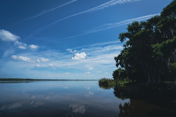 Lake Jesup shoreline in Winter Springs, Florida