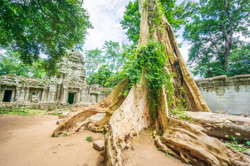 Fototapeta na wymiar Cambodia is a country located in the southern portion of the Indochinese Peninsula in Southeast Asia. It is 181,035 square kilometers (69,898 square miles) in area