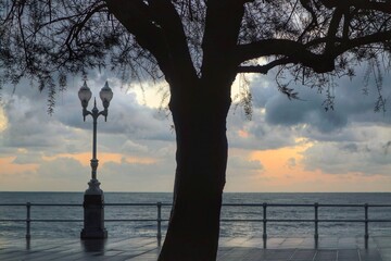 Paseo en la oscuridad