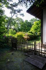 local house and garden in Japan.