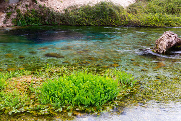 Naklejka na ściany i meble Picturesque natural landscape with crystal clear emerald water of Blue Eye source surrounded by greenery of dense forest located near Sarande on spring day, Albania