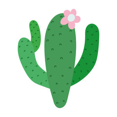 cactus with flower
