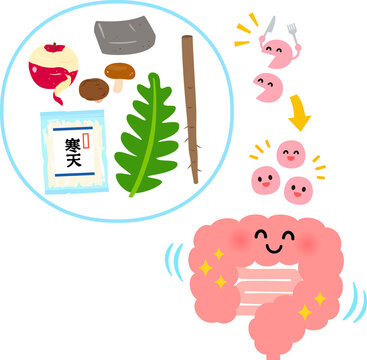 水溶性食物繊維を含む食品と善玉菌と腸
