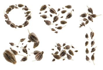 A set of photos. Anise seeds levitate on a white background