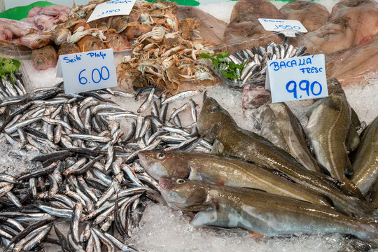 Sardines, cod fish and seafood for sale at a market in Barcelona