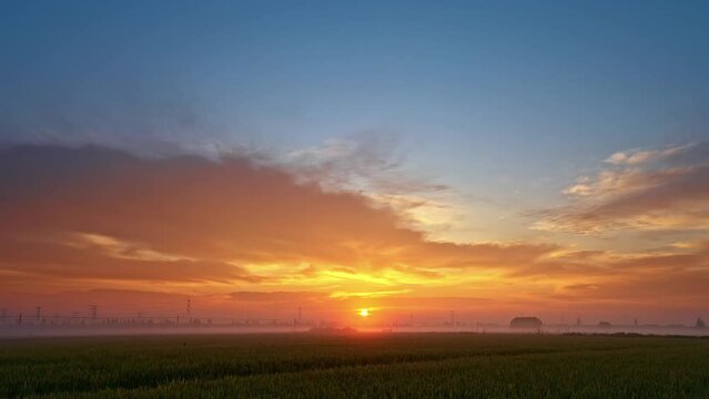 Beautiful sky clouds and green rice field natural landscape in countryside, Shanghai, China. Rural nature scenery at sunrise.
