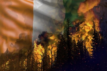 Forest fire natural disaster concept - infernal fire in the woods on Cote d Ivoire flag background - 3D illustration of nature