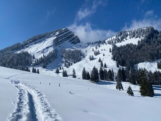 Fairytale alpine winter atmosphere and snow-capped alpine peaks Stockberg (1781 m) and Chli Stockberg (1597 m) in the Alpstein mountain massif, Nesslau - Obertoggenburg region, Switzerland (Schweiz)