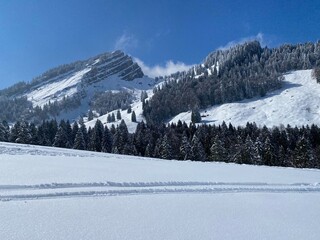 Fairytale alpine winter atmosphere and snow-capped alpine peaks Stockberg (1781 m) and Chli Stockberg (1597 m) in the Alpstein mountain massif, Nesslau - Obertoggenburg region, Switzerland (Schweiz)