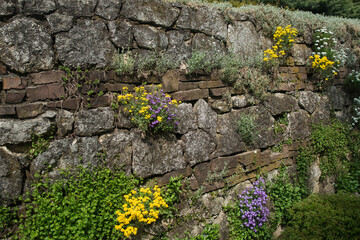 ozdoba muru z kamienia