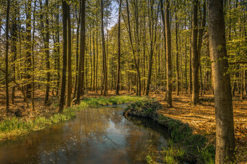 Polish landscape with a small river in the background at sunset.